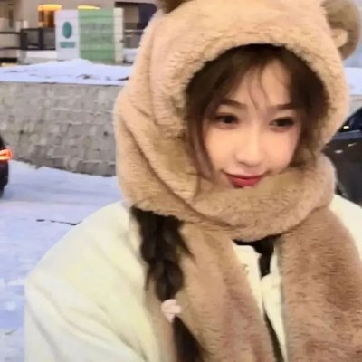 野性的冬天 海报