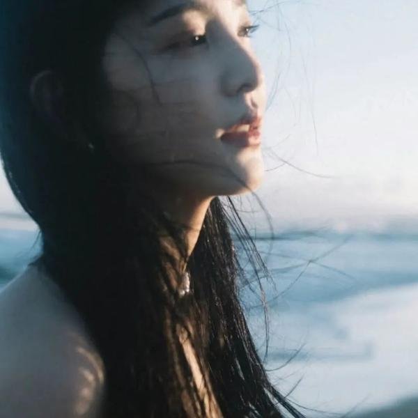 欢迎来到丛林 海报