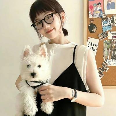 假面女仆 海报